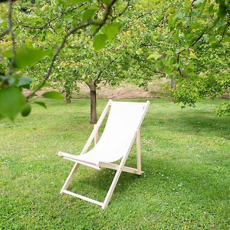 Spitz an der Donau Gaestehaus Schuetz المظهر الخارجي الصورة